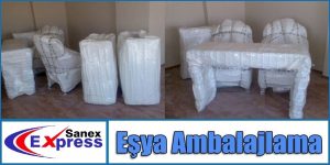 Rusya Mobilya Taşımacılığı 