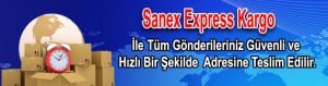 Sanex Express kargo